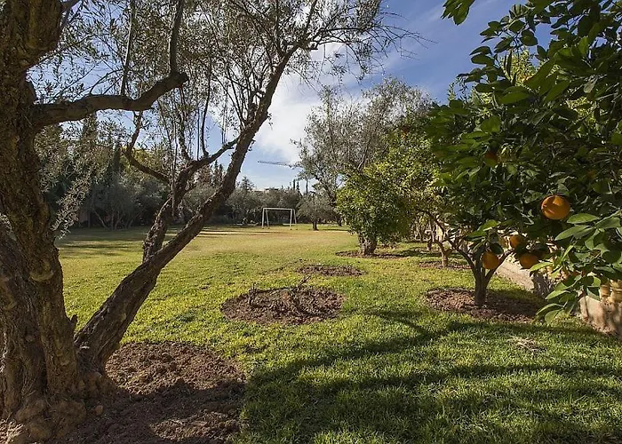 Villa Zahra Palmeraie