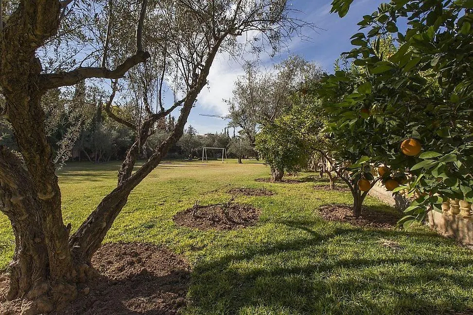Villa Zahra Palmeraie-1