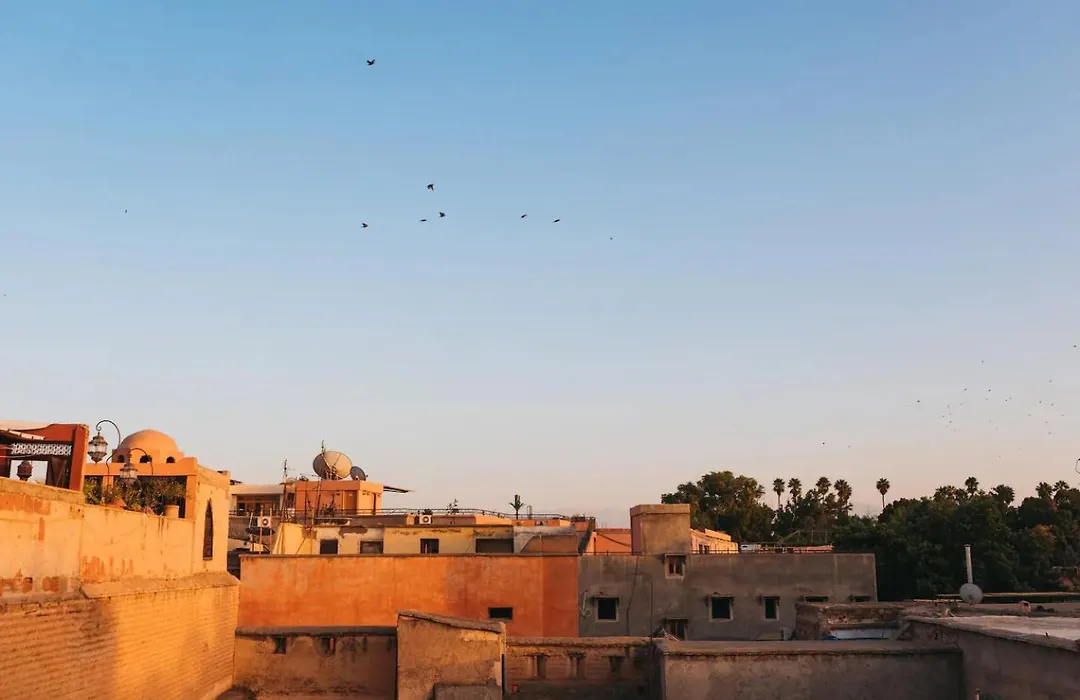 Riad Siena II-1