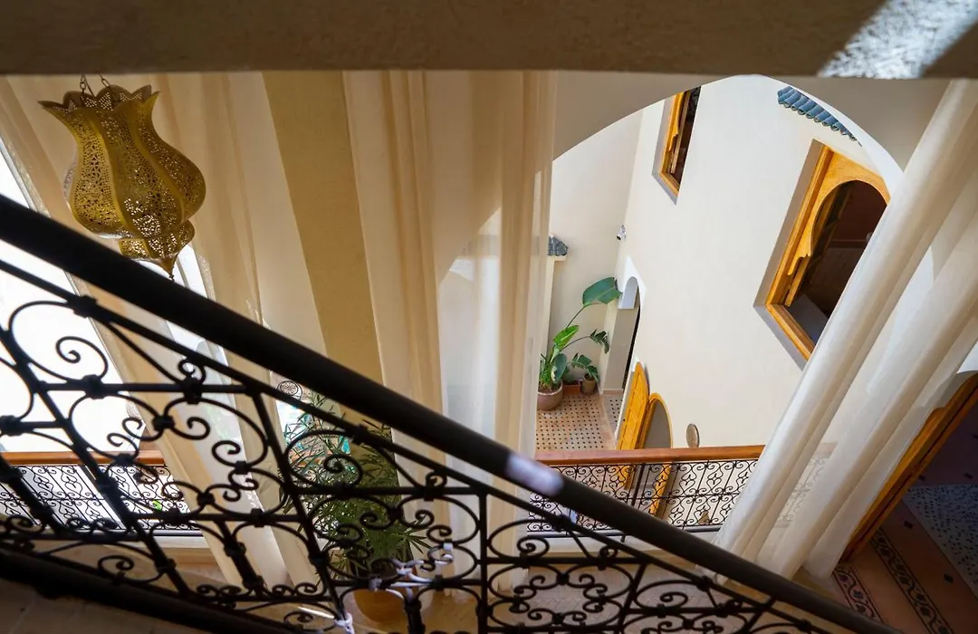 Riad Saadaoui-1