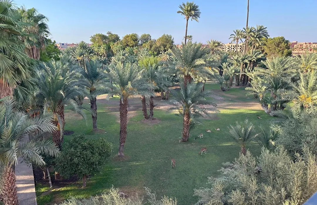 Riad Nolya Luxury Marrakech - Totalement Renove - Capacite Jusqu A 10 Lits Spacieux-1