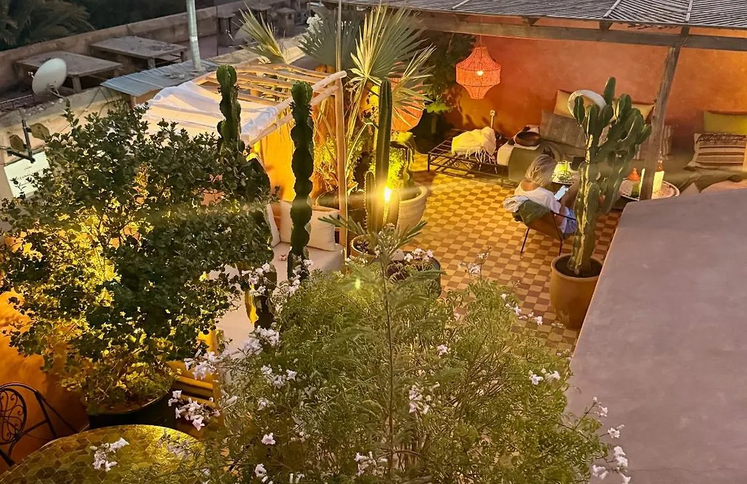 Vibrant Medina Loft And Roof Top-1