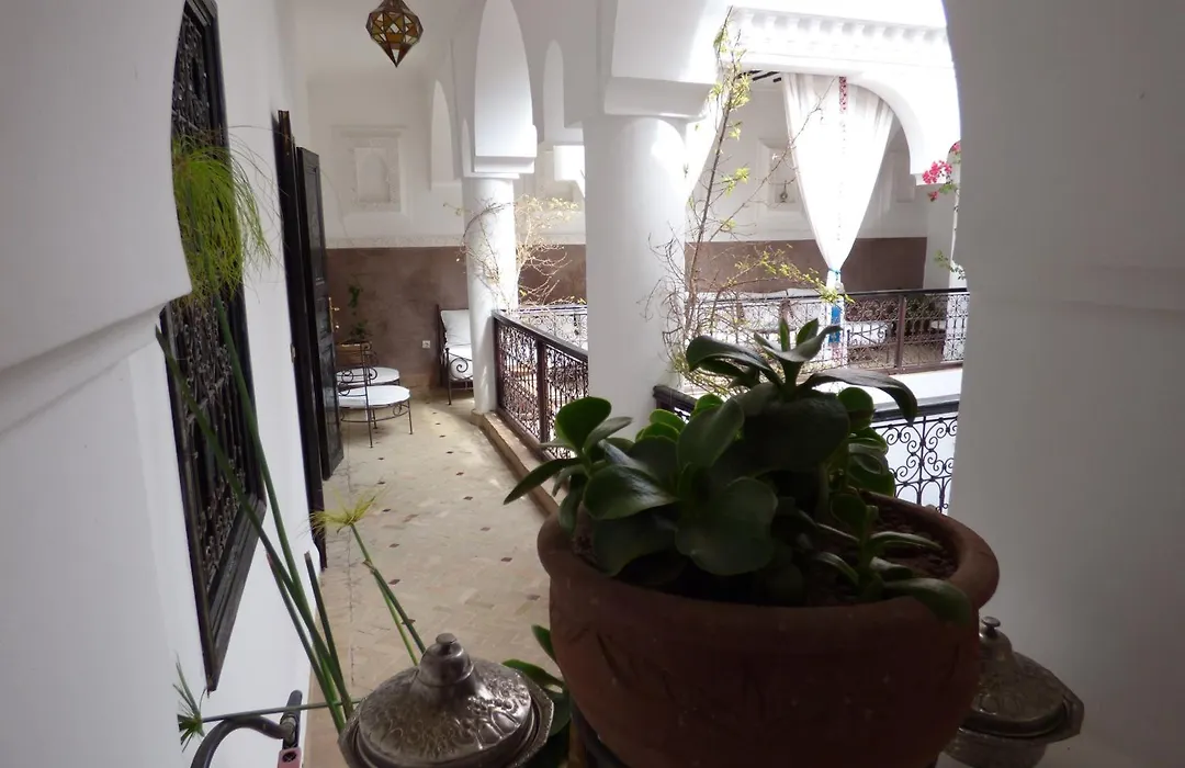 Riad Ailen-1