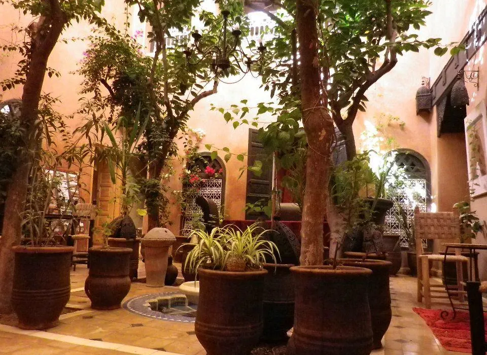 Riad Sidi Omar-1