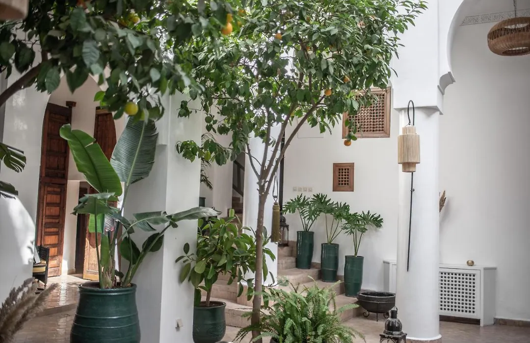 Riad Palais Calipau-1