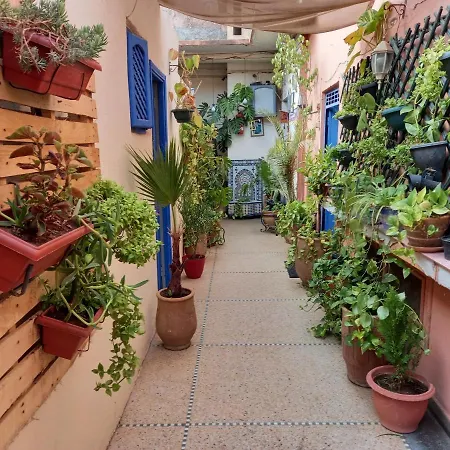 Studio Dar Rmila-2