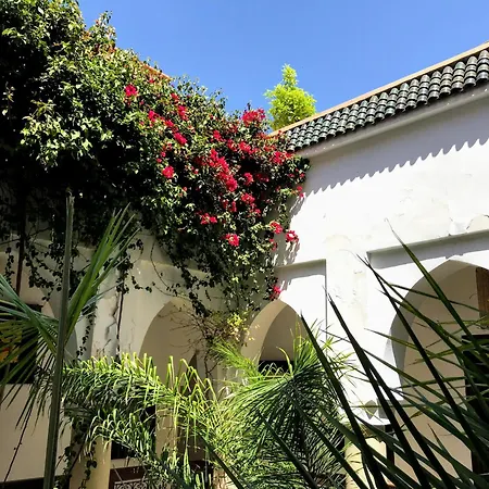 Riad Dar Zaman-3