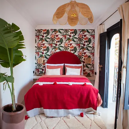Cosy Riad-2