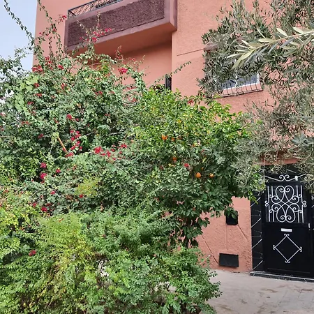 Marrakech-2