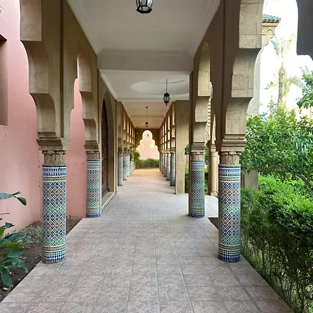 Riad Anir-3