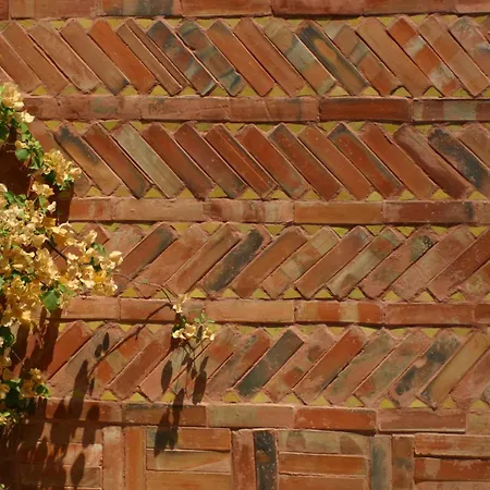 Riad Noga-3