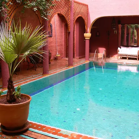 Riad Noga-2