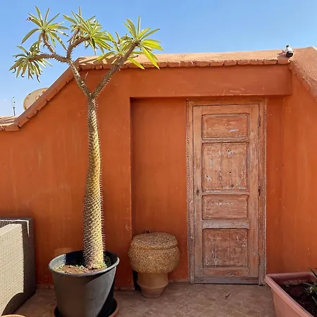 Riad Rossi-3