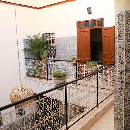 Riad Fridi-2