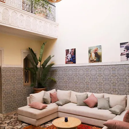 Riad Fridi-3