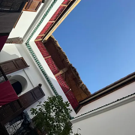 Riad Alghani-2