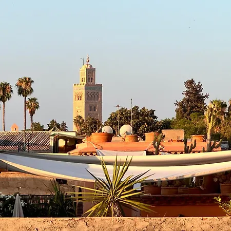 Riad Belharra-2