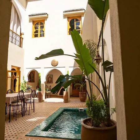 Riad Saadaoui-3