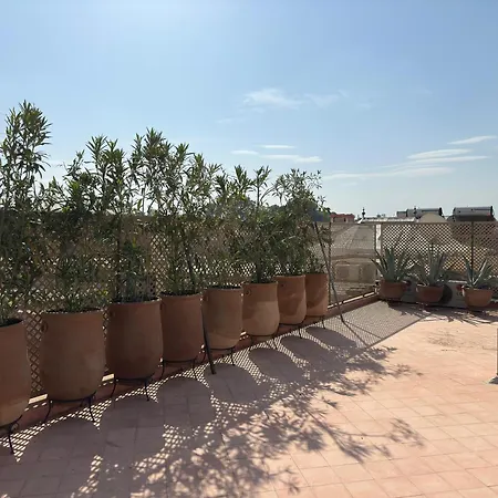 Riad Kamilyes-3