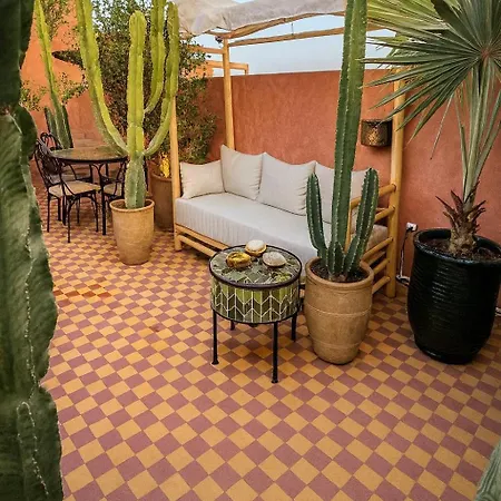 Vibrant Medina Loft And Roof Top-2