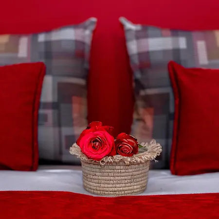 Riad Bilkis-2