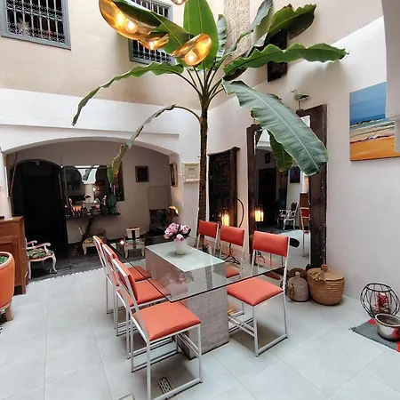 Riad Dom-2