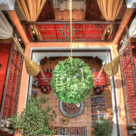 Riad Elizzi-3