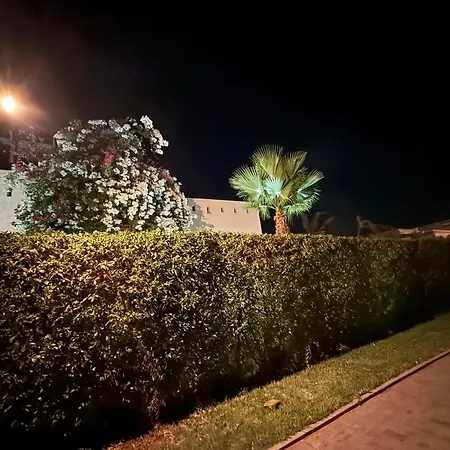La Rose Des Sables-2