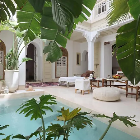 Riad Lunja-2