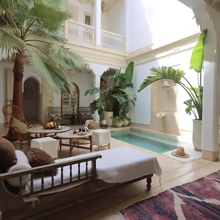 Riad Lunja-3
