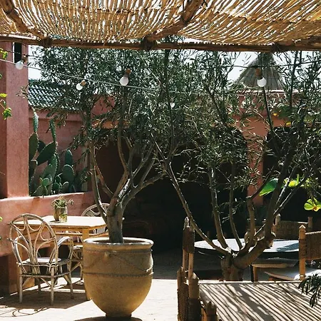 Riad Jardin Secret-3