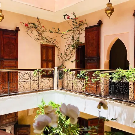 Riad Akl-2