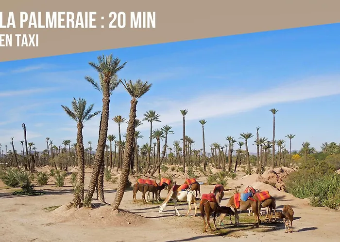 L'Appart By Louhou Collection Marrakesh, Morocco