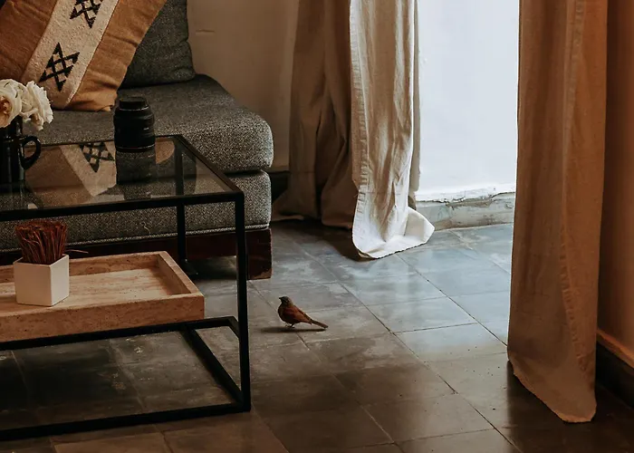 Riad Villa Wenge & Spa