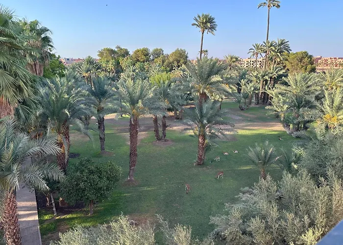 Riad Nolya Luxury Marrakech - Totalement Renove - Capacite Jusqu A 10 Lits Spacieux Marrakesh, Morocco