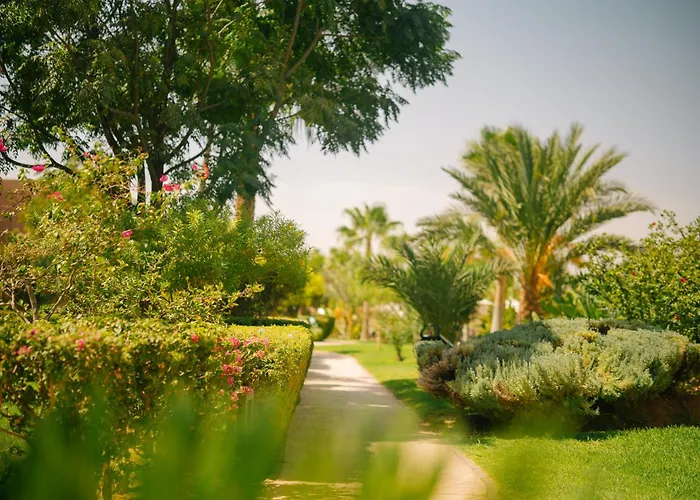 Be Live Collection Marrakech Adults Only All Inclusive